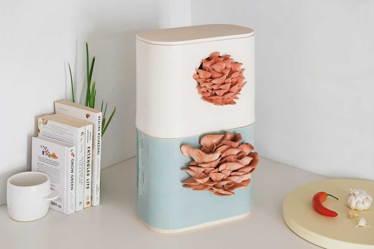 Gus, The Home Mushroom Cultivator By Good Growing (6)