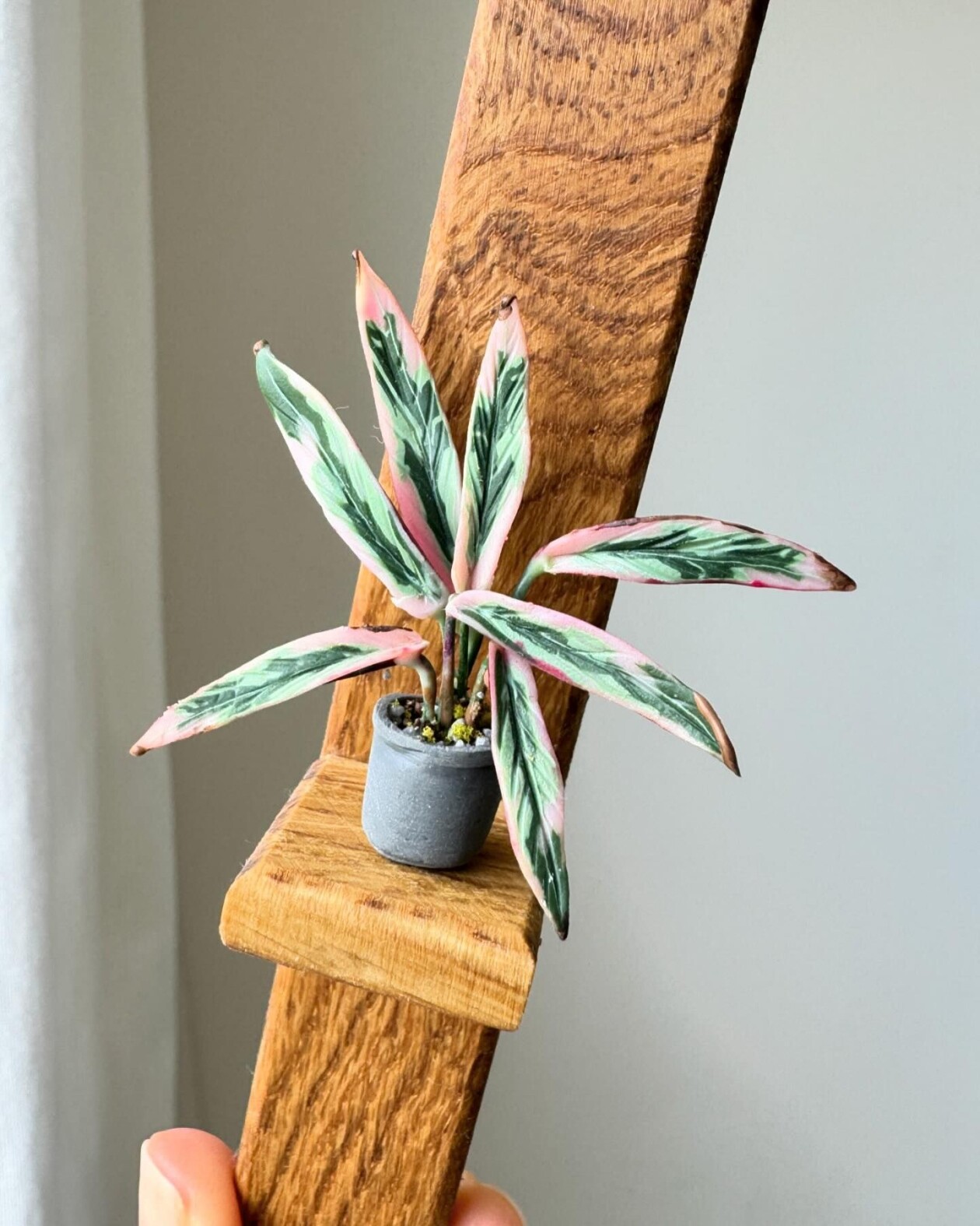 Handmade Miniature Polymer Clay Plants By Astrid Wilk (19)