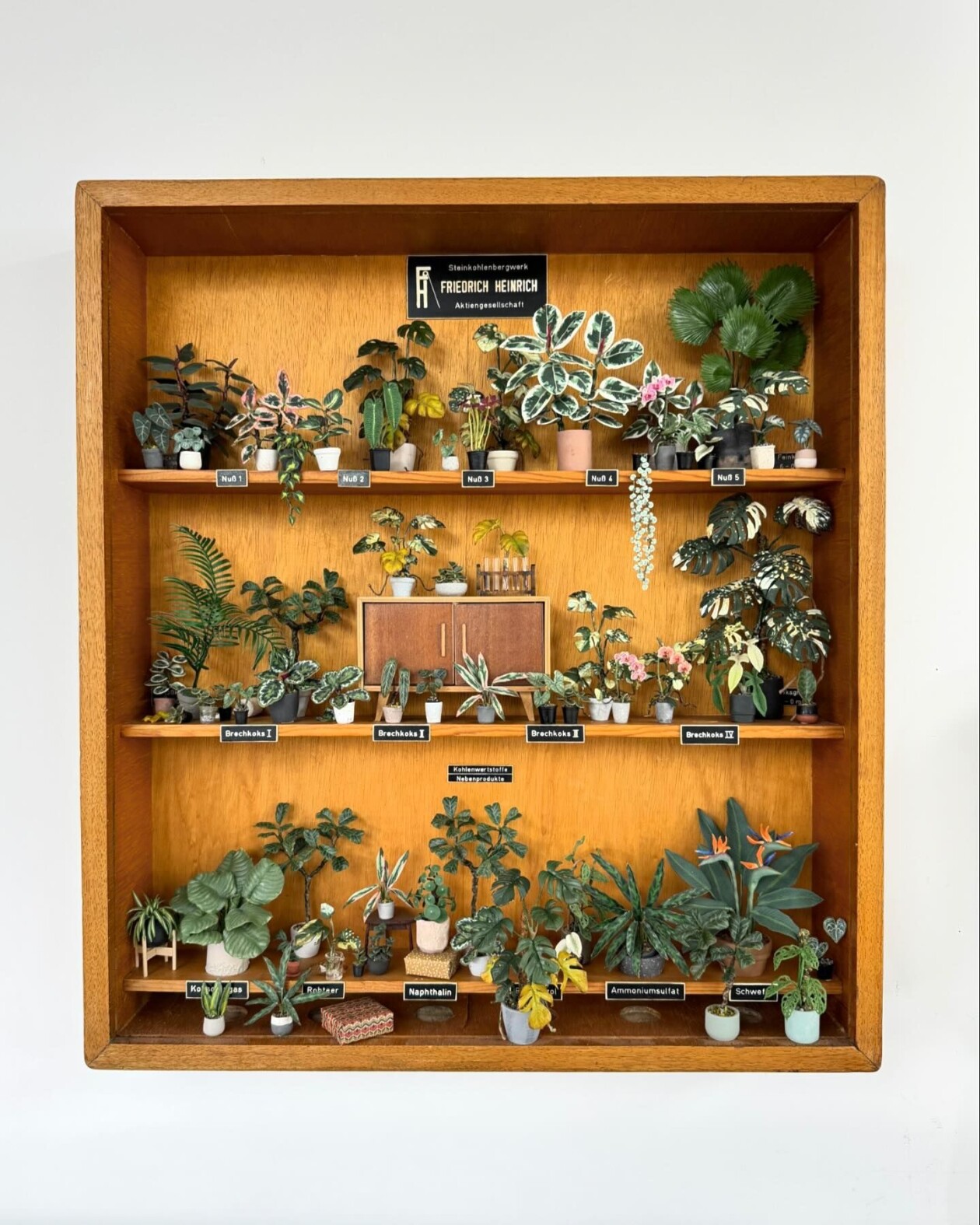 Handmade Miniature Polymer Clay Plants By Astrid Wilk (23)