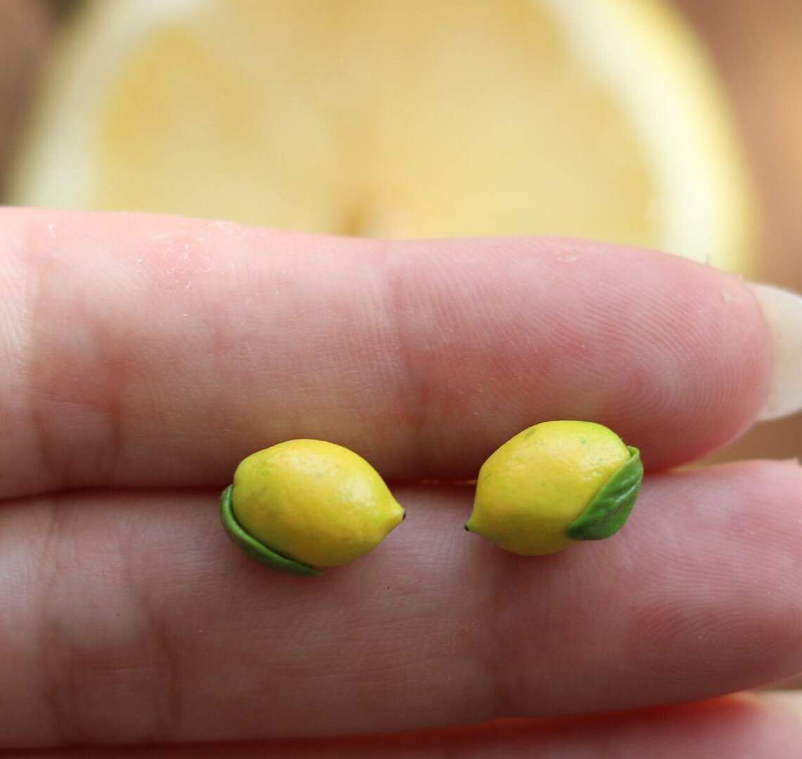 Hyper Realistic Fruit Earrings By Helen Creative (13)