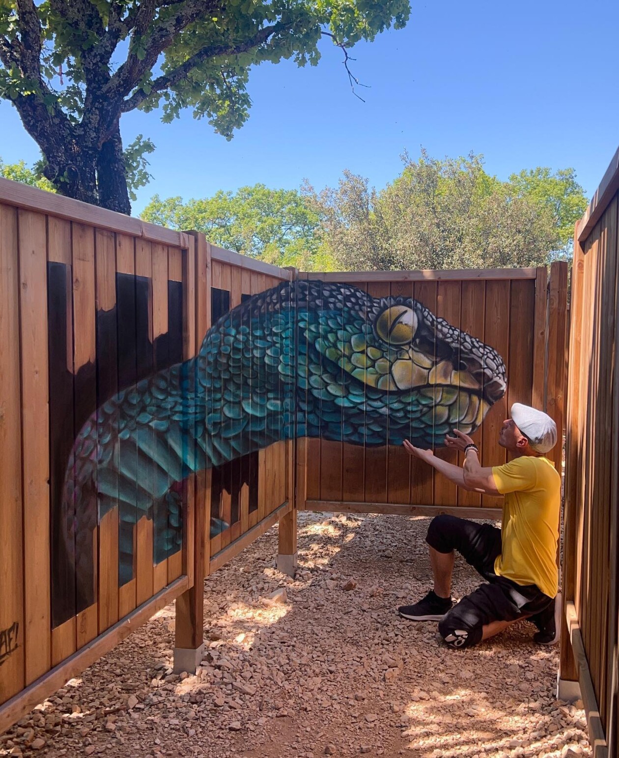 Impressive 3d Murals By Scaf (19)