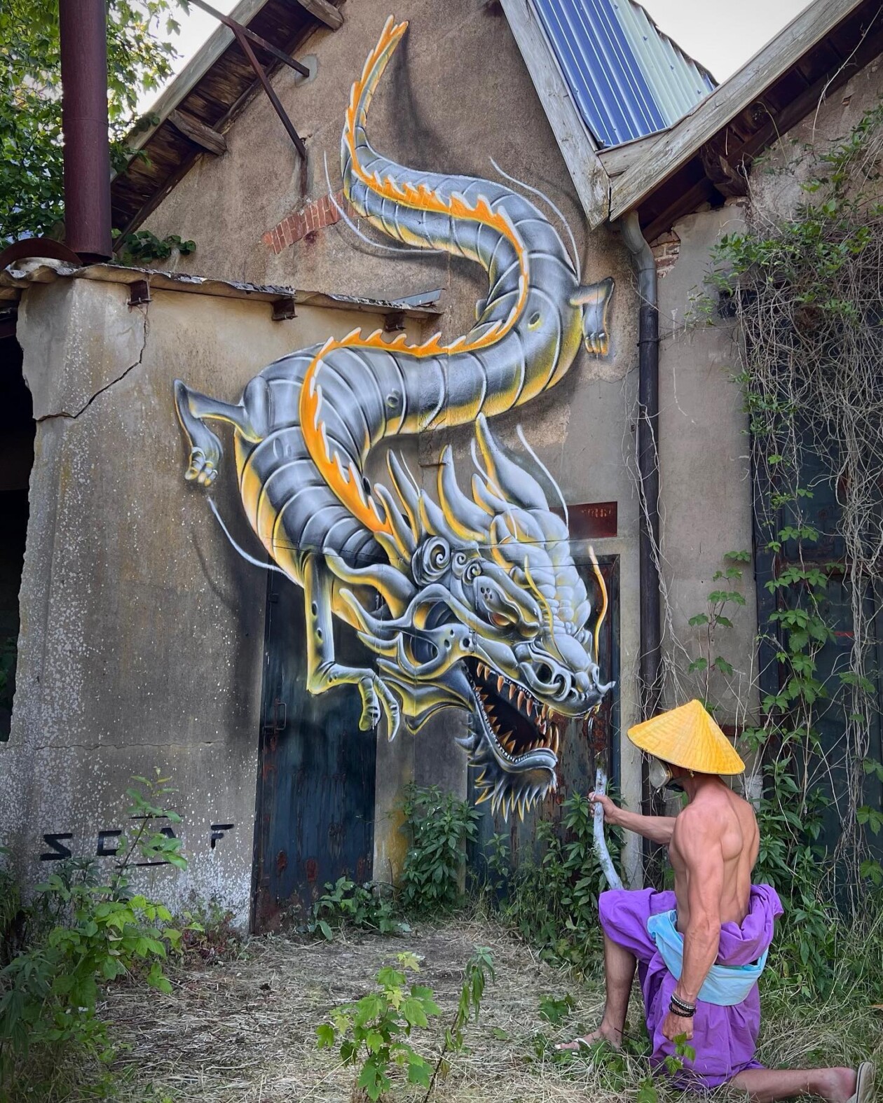 Impressive 3d Murals By Scaf (3)