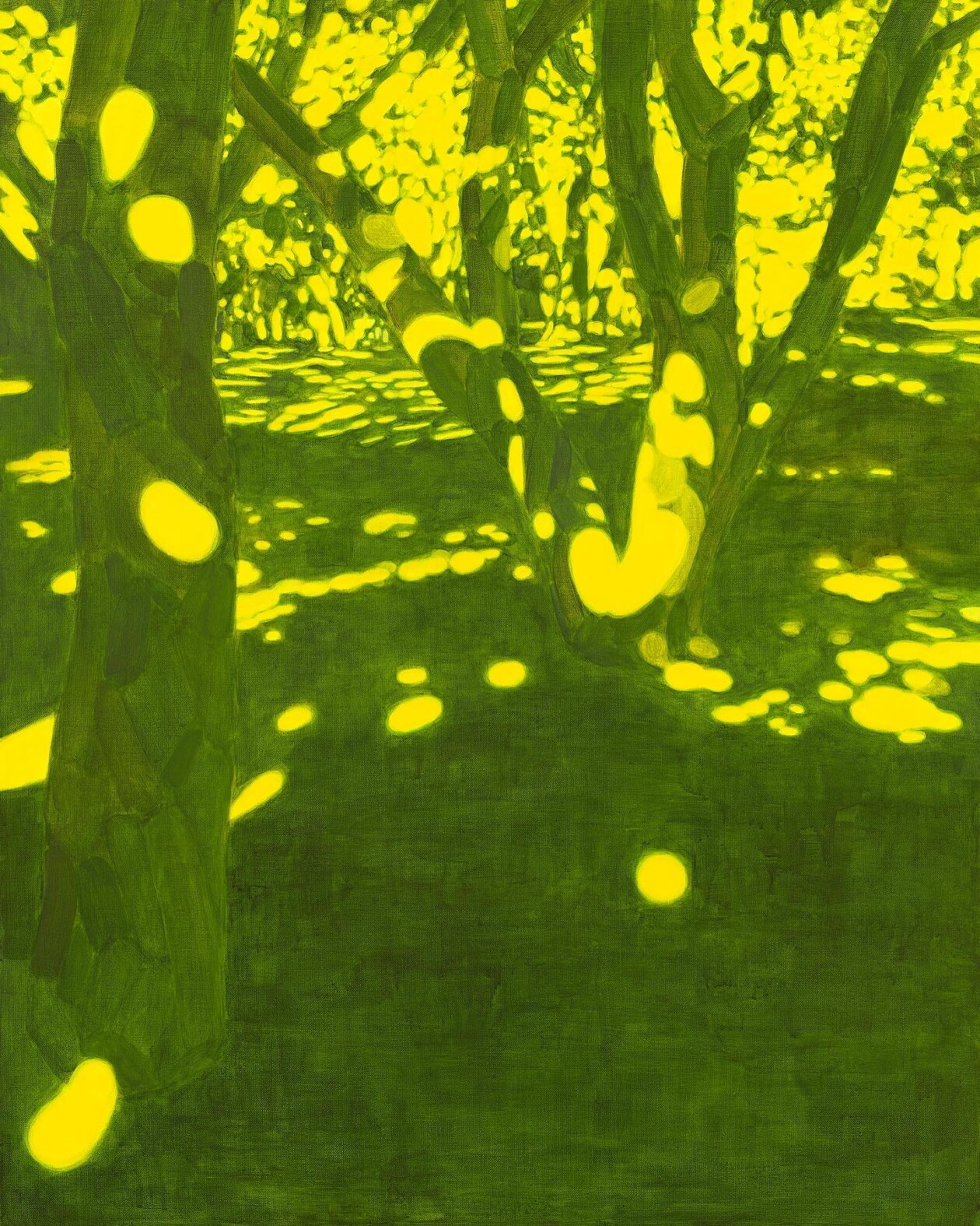 Paintings Of Lights And Shadows By Duri Baek (10)