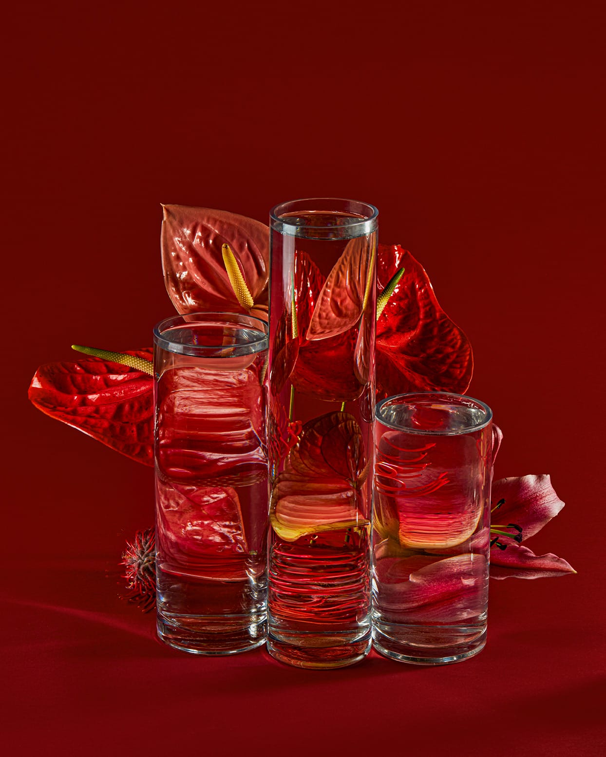 Perspective, Florals Distorted Through Water Vessels By Suzanne Saroff (5)