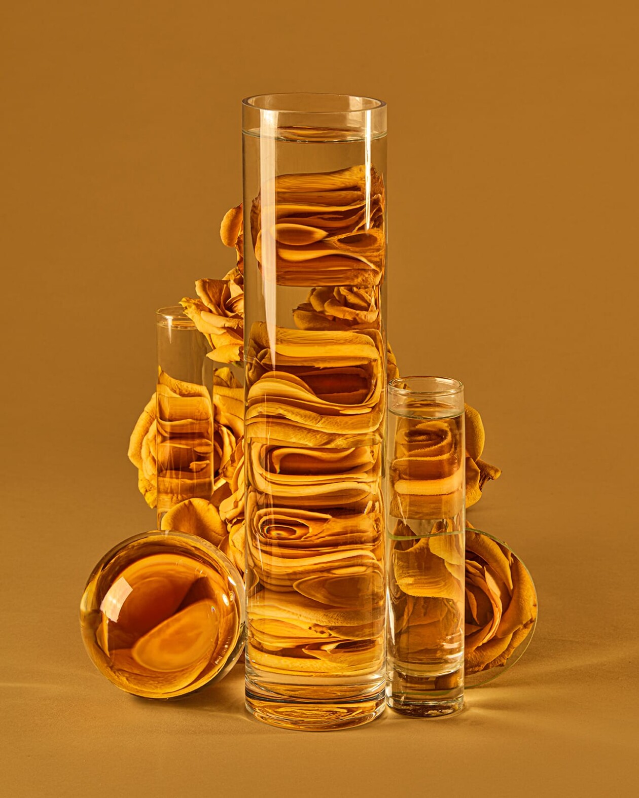 Perspective, Florals Distorted Through Water Vessels By Suzanne Saroff (7)