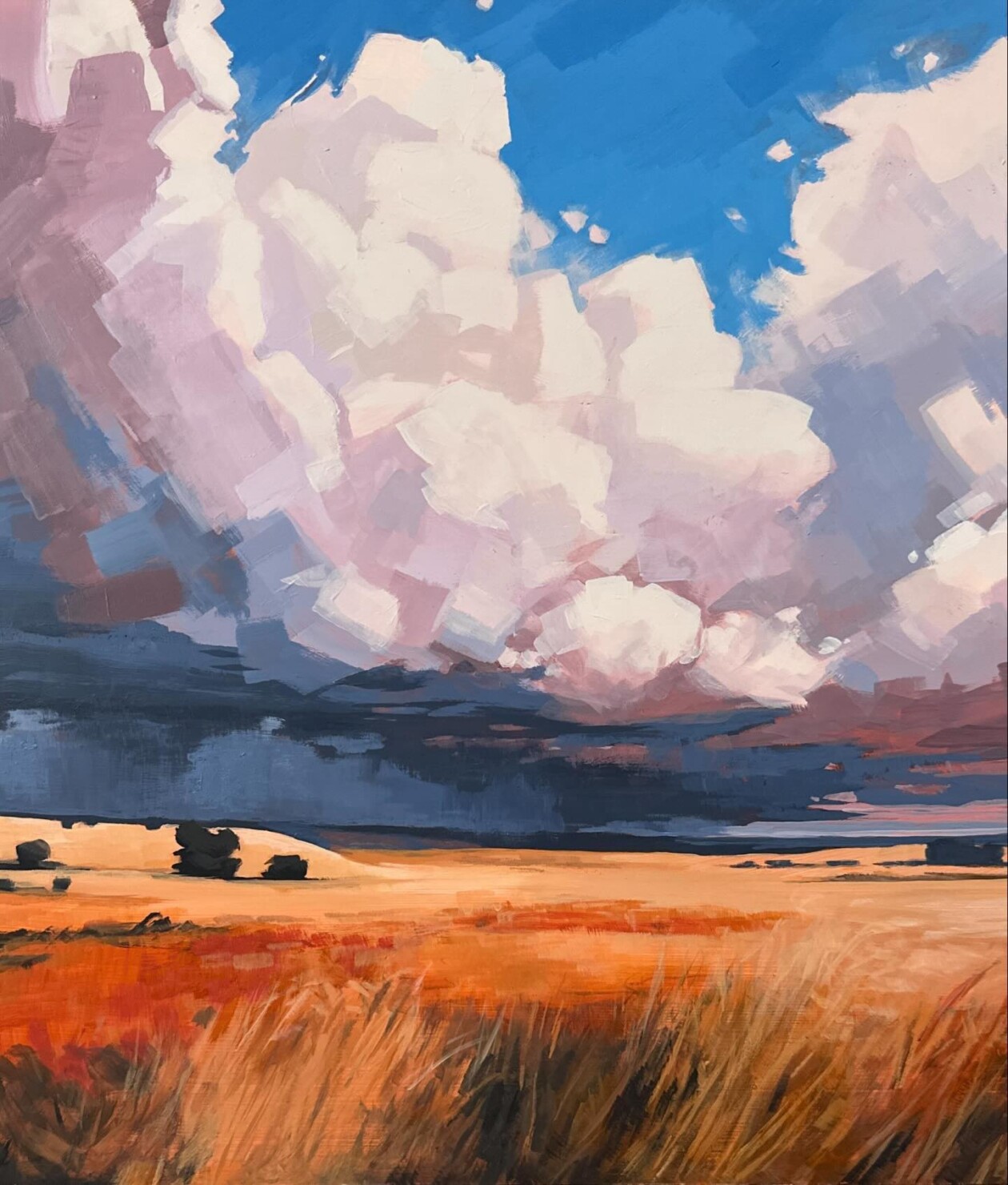 Pleasant Landscape Acrylic Paintings By James Musil (13)