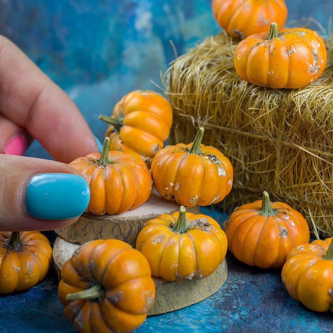 Polymer Clay Food And Plant Sculptures By Rina Vellichor (24)