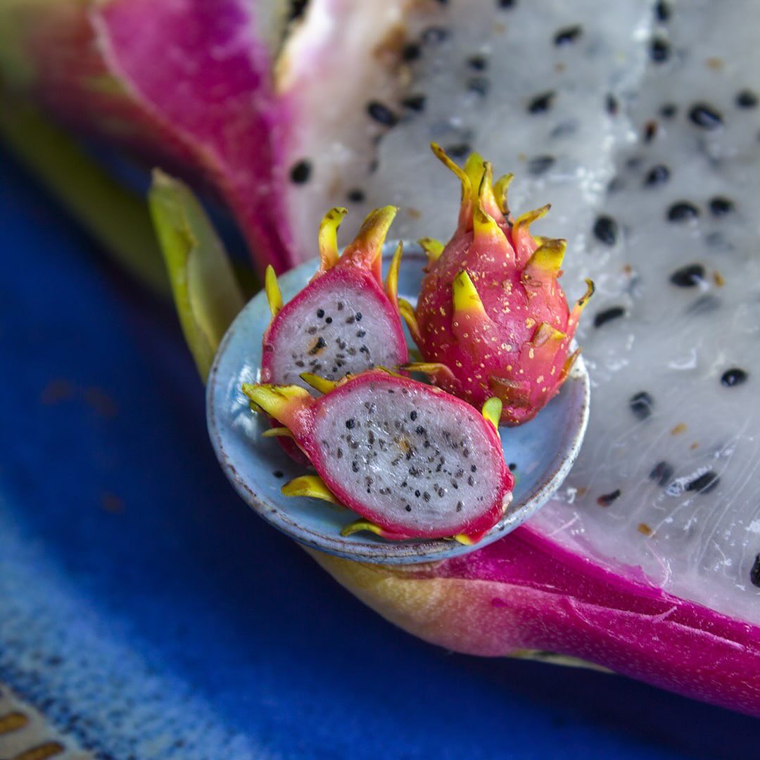 Polymer Clay Food And Plant Sculptures By Rina Vellichor (3)