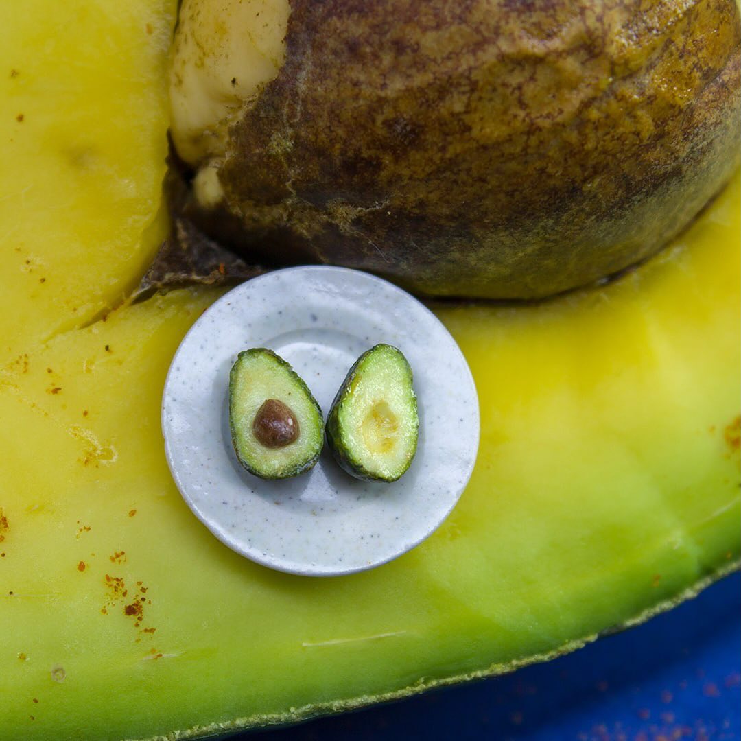 Polymer Clay Food And Plant Sculptures By Rina Vellichor (4)