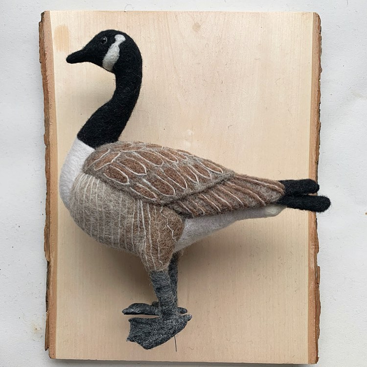 Realistic Animal Needle Felted Sculptures By Tracey Turner (24)