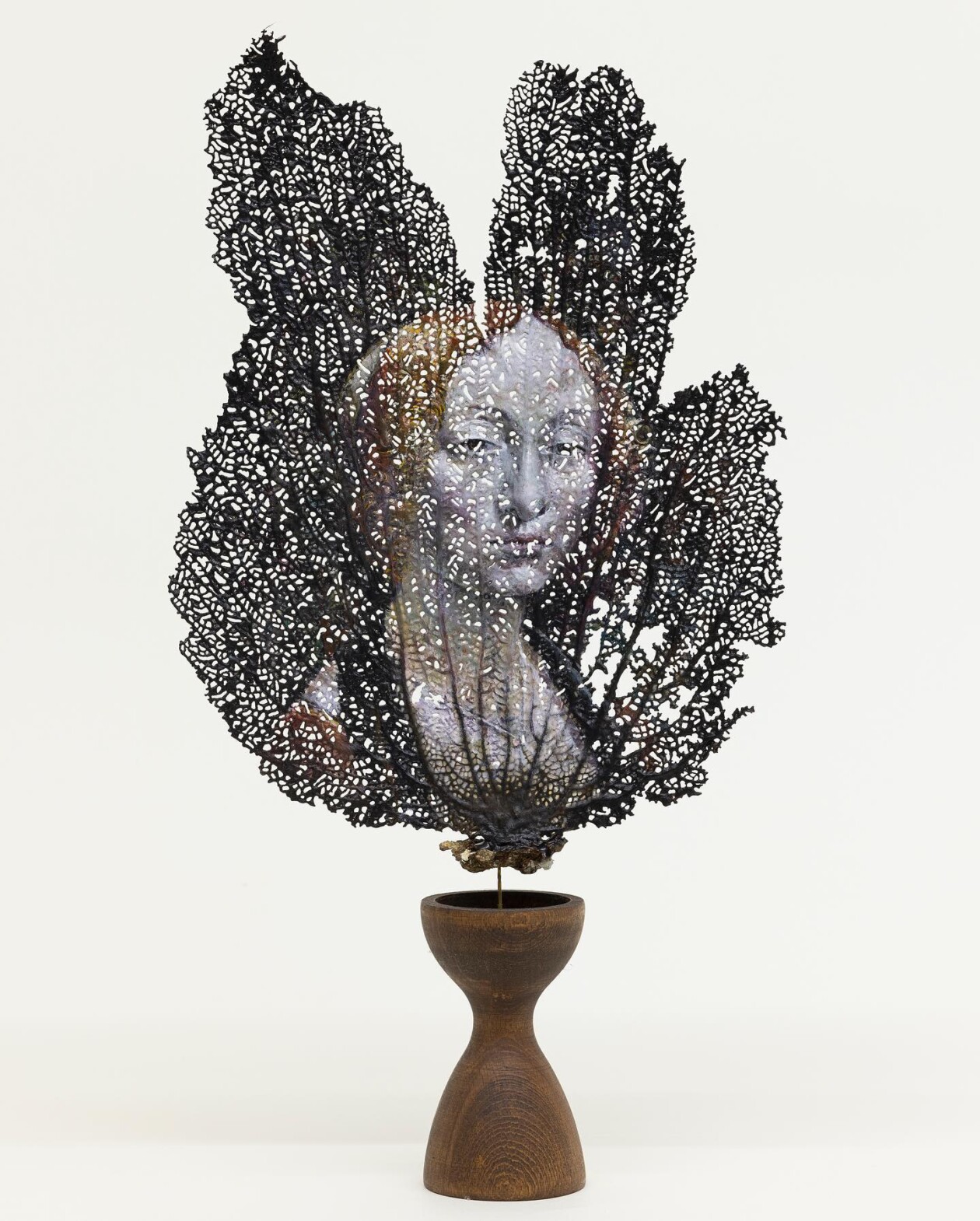 Renaissance Paintings Beautifully Recreated On Natural Materials By Chris Oh (14)