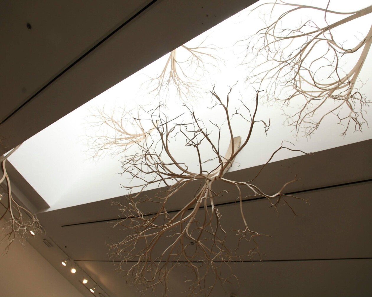 Roots And Branches, The Intriguing Sculptural Wooden Furniture Of Pontus Willfors (5)