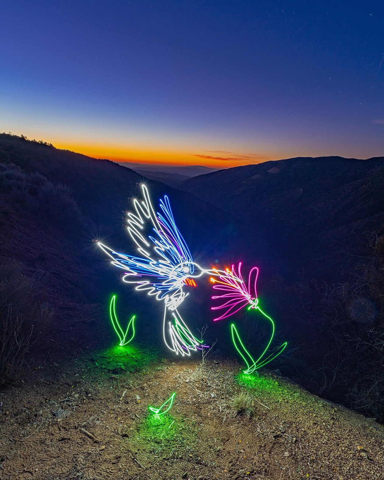 The Hypnotizing Light Painting Photography Of Dariustwin (12)