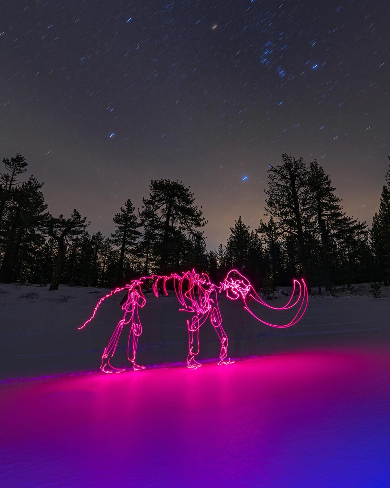The Hypnotizing Light Painting Photography Of Dariustwin (18)