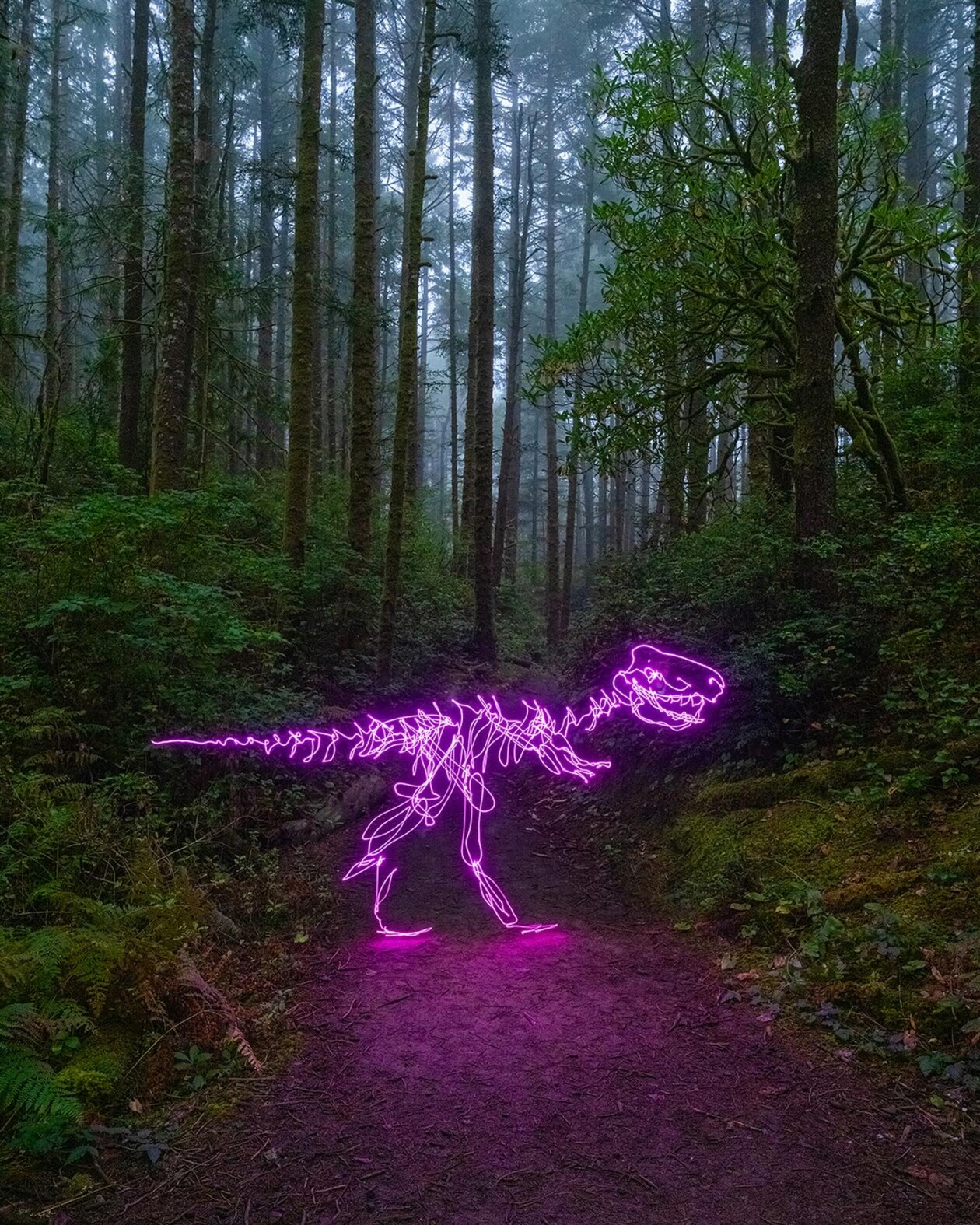 The Hypnotizing Light Painting Photography Of Dariustwin (19)