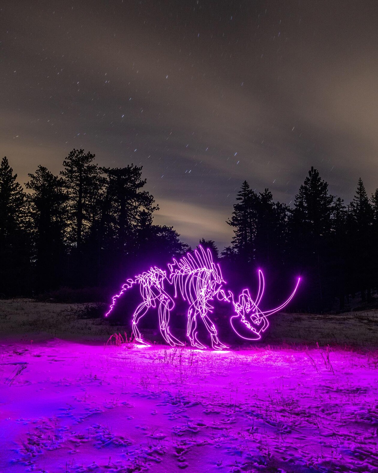 The Hypnotizing Light Painting Photography Of Dariustwin (21)