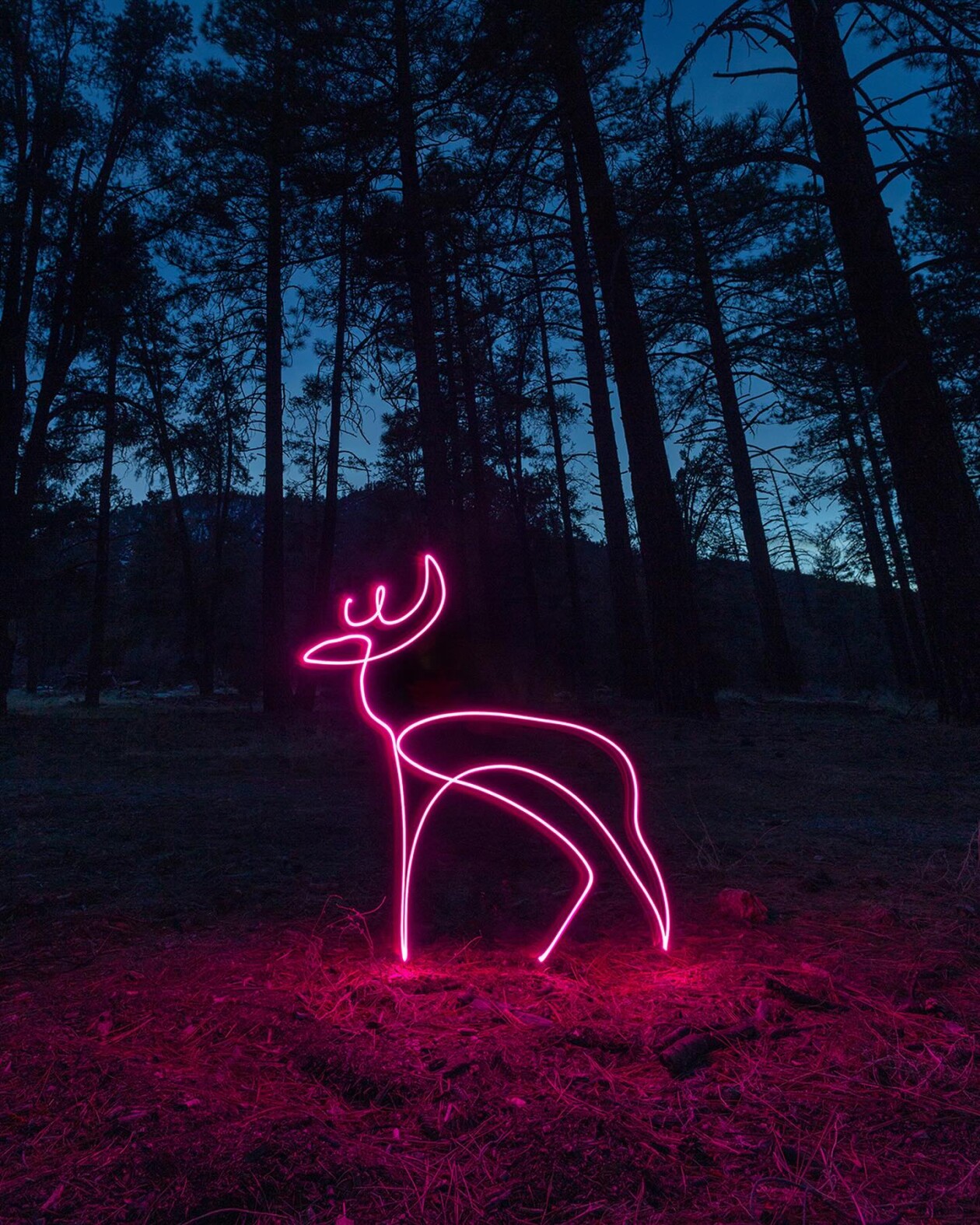 The Hypnotizing Light Painting Photography Of Dariustwin (22)