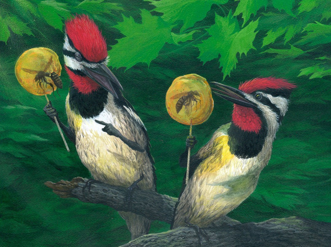 The Surreal Hybrid Creatures Of C. M. Duffy (12)