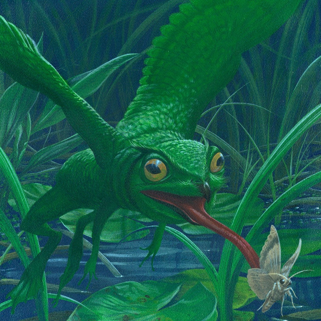 The Surreal Hybrid Creatures Of C. M. Duffy (3)