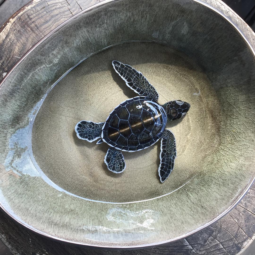 Alive Without Breath, 3d Animals Painted In Layers Of Resin By Keng Lye (12)