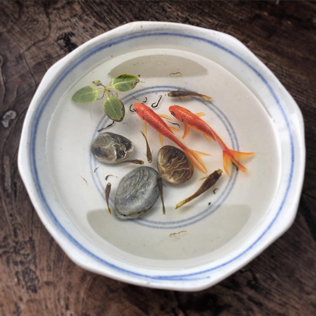 Alive Without Breath, 3d Animals Painted In Layers Of Resin By Keng Lye (14)