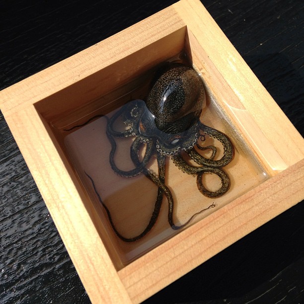 Alive Without Breath, 3d Animals Painted In Layers Of Resin By Keng Lye (9)