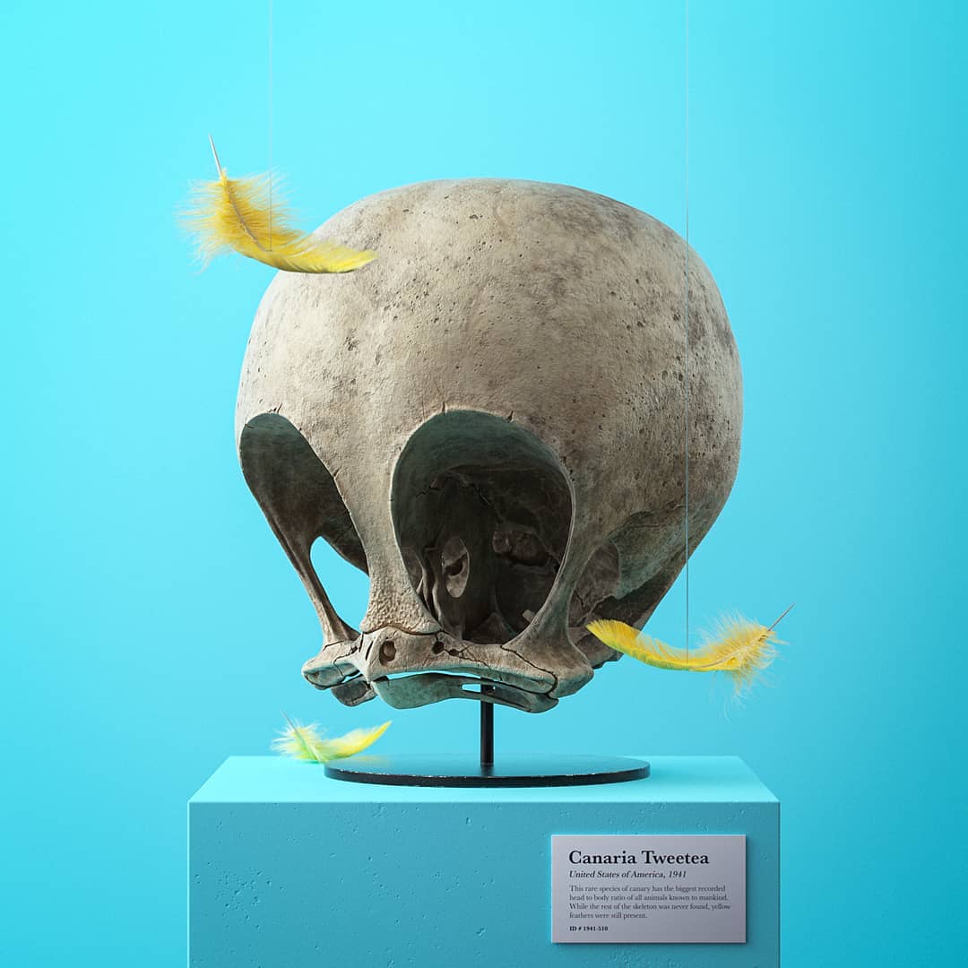 Cartoon Fossils, A Funny Digital Illustration Series By Filip Hodas (7)