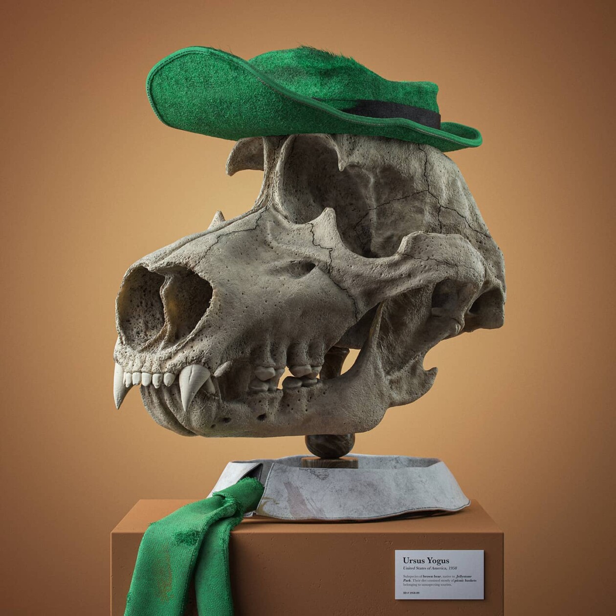 Cartoon Fossils, A Funny Digital Illustration Series By Filip Hodas (9)