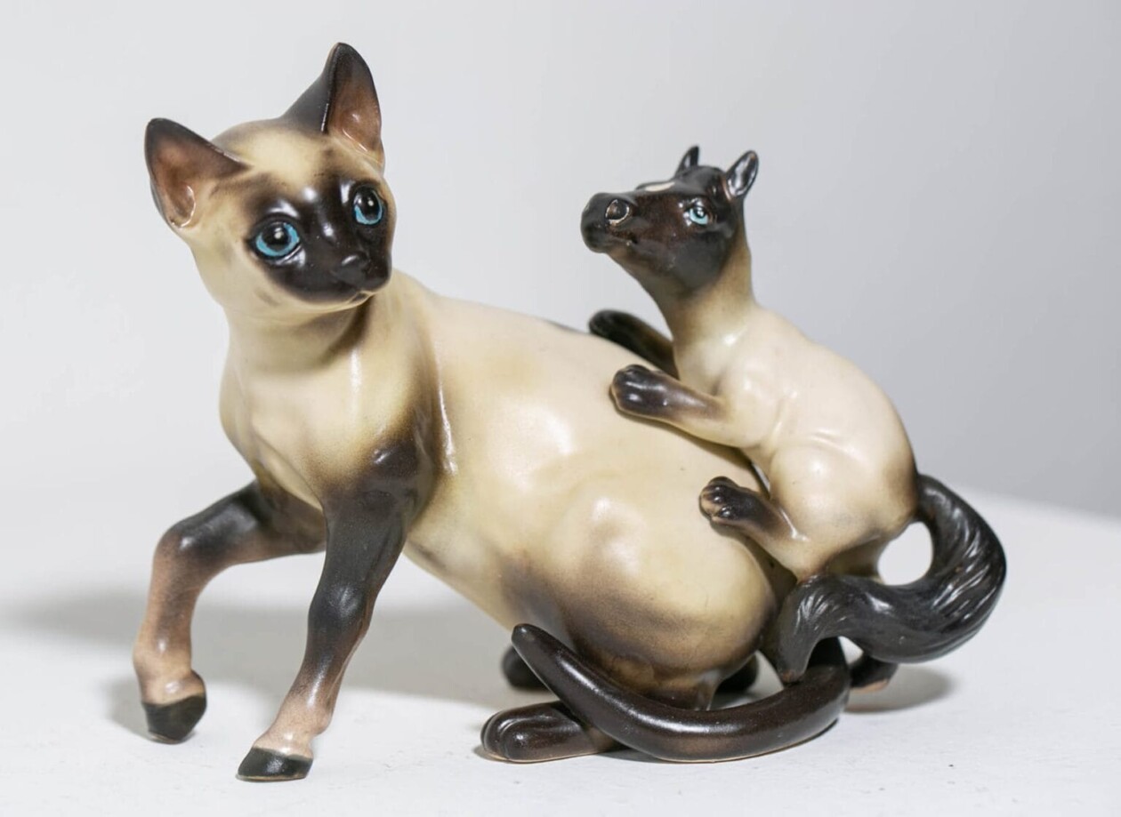 Debra Broz Brings To Life Uncanny Beings By Creating Unexpected Mashups Between Animals, Plants, And Humans (16)