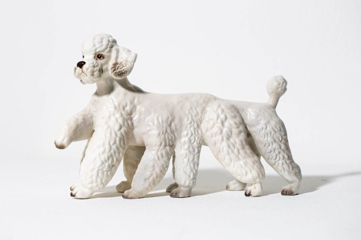 Debra Broz Brings To Life Uncanny Beings By Creating Unexpected Mashups Between Animals, Plants, And Humans (21)