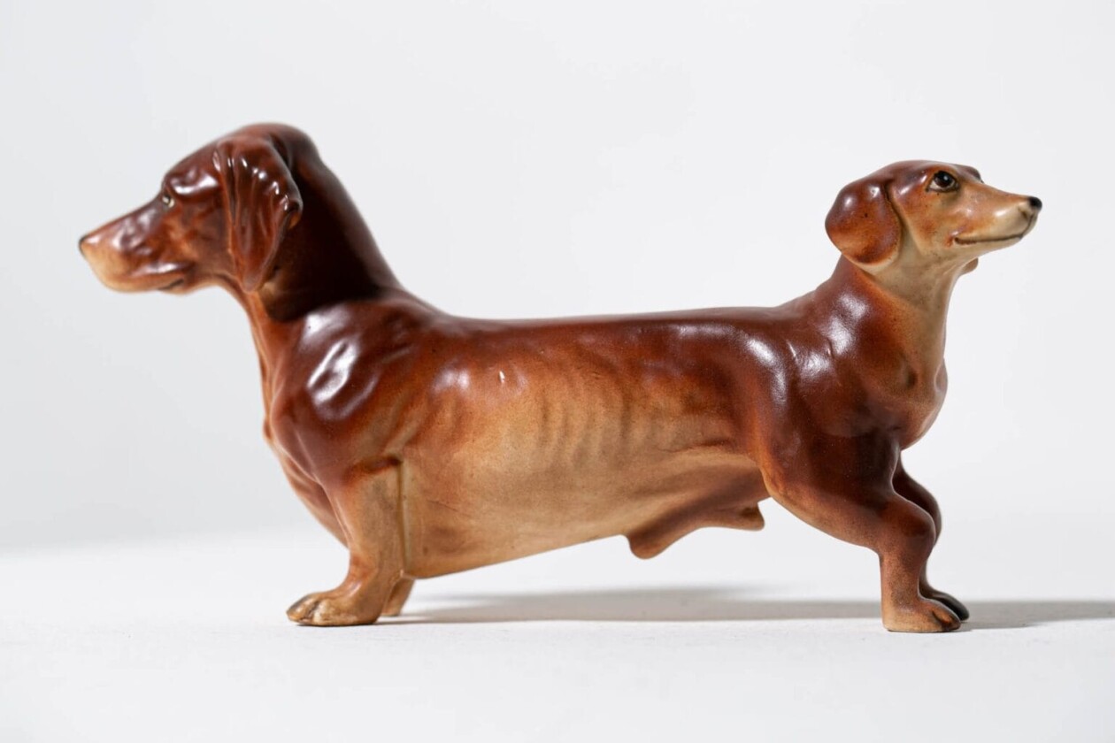 Debra Broz Brings To Life Uncanny Beings By Creating Unexpected Mashups Between Animals, Plants, And Humans (22)