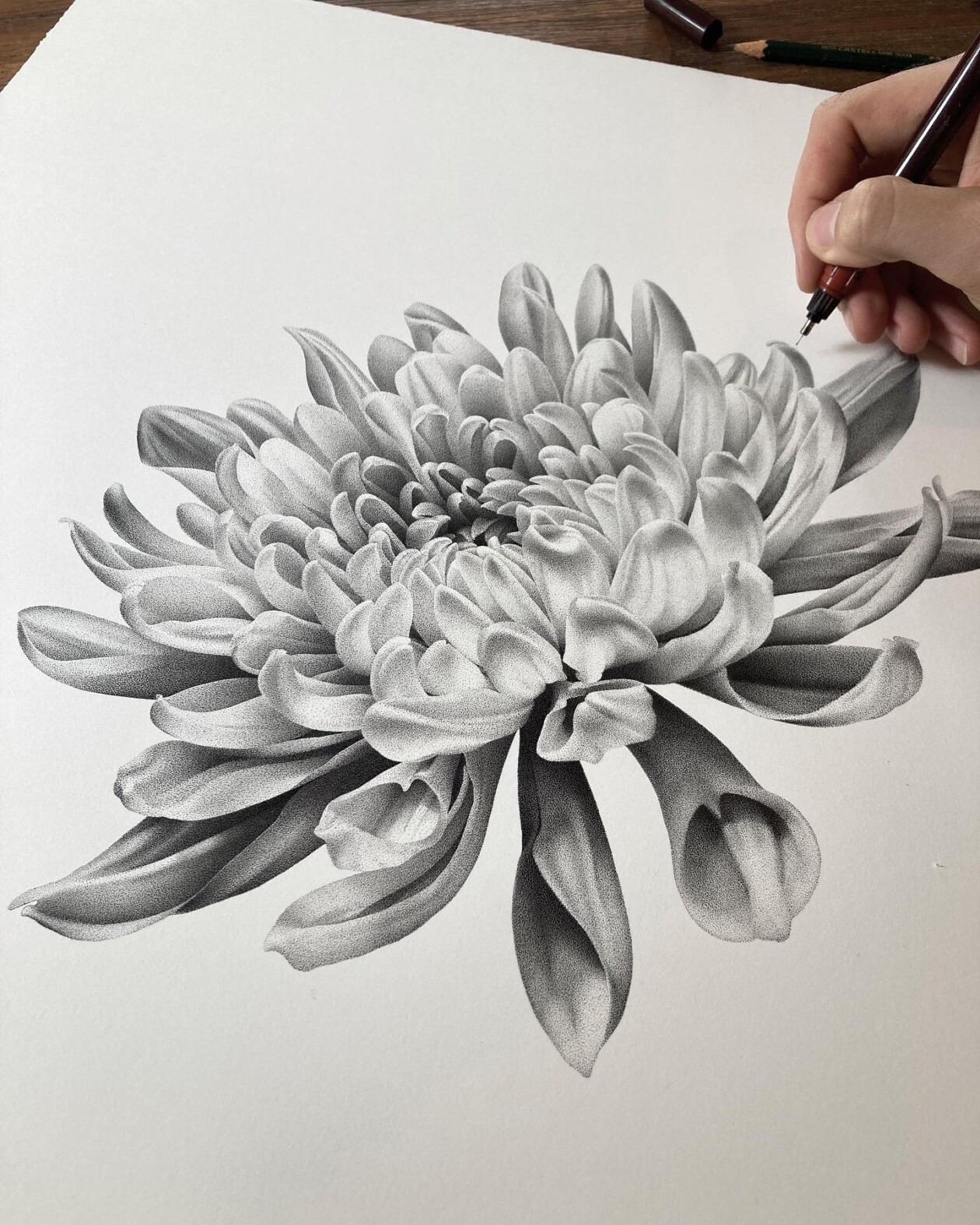 Detailed Stipple Illustrations Made Of Tens Of Millions Of Ink Dots By Xavier Casalta (6)