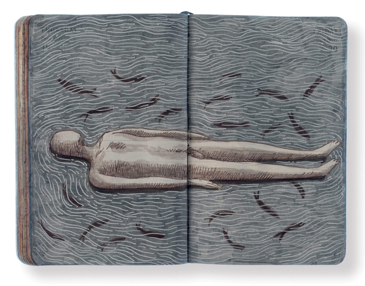 Enigmatic World, Thousands Of Daily Diary Drawings By Pep Carrió (5)