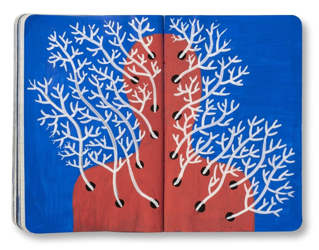 Enigmatic World, Thousands Of Daily Diary Drawings By Pep Carrió (8)