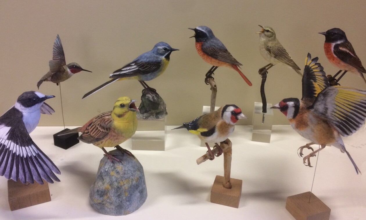 Hyper Realistic Bird Sculptures Made From Paper And Watercolor Paint By Johan Scherft (12)