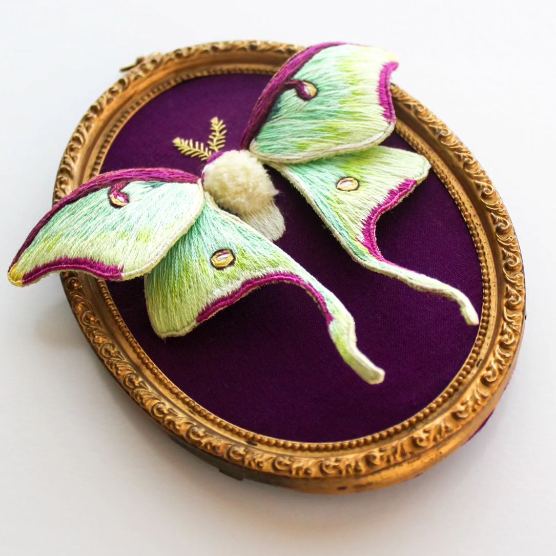 Life Like Three Dimensional Animal Embroideries By Megan Zaniewski (9)