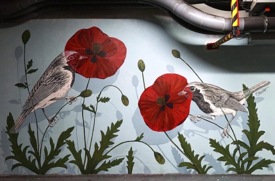 Petite Nature, Splendid Illustrative Murals By Steeven Salvat (3)