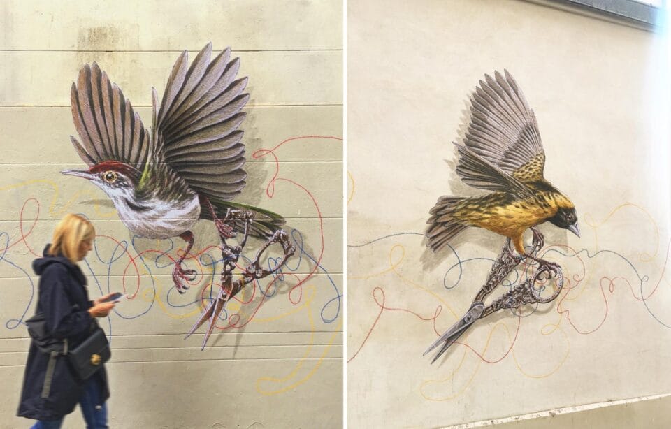 Petite Nature, Splendid Illustrative Murals By Steeven Salvat (7)