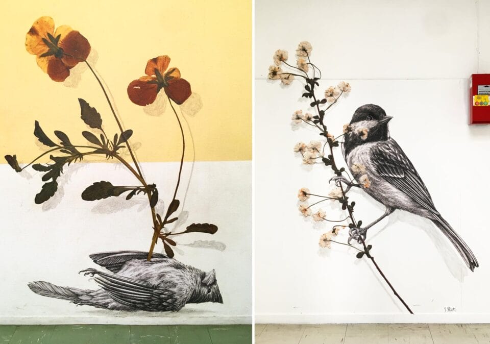 Petite Nature, Splendid Illustrative Murals By Steeven Salvat (9)