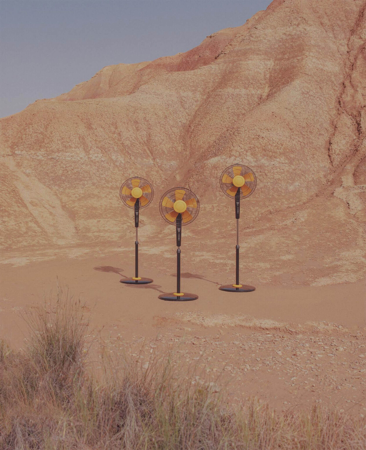 Pieza Madre, A Touching Tribute By Andoni Beristain (4)