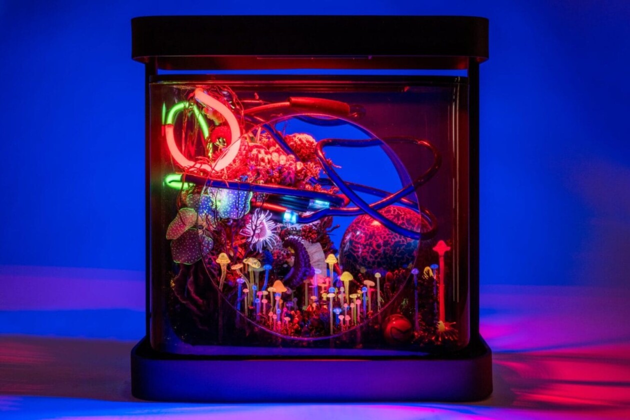 Post Human Future, Thought Provoking Dioramas By Max Hooper Schneider (9)