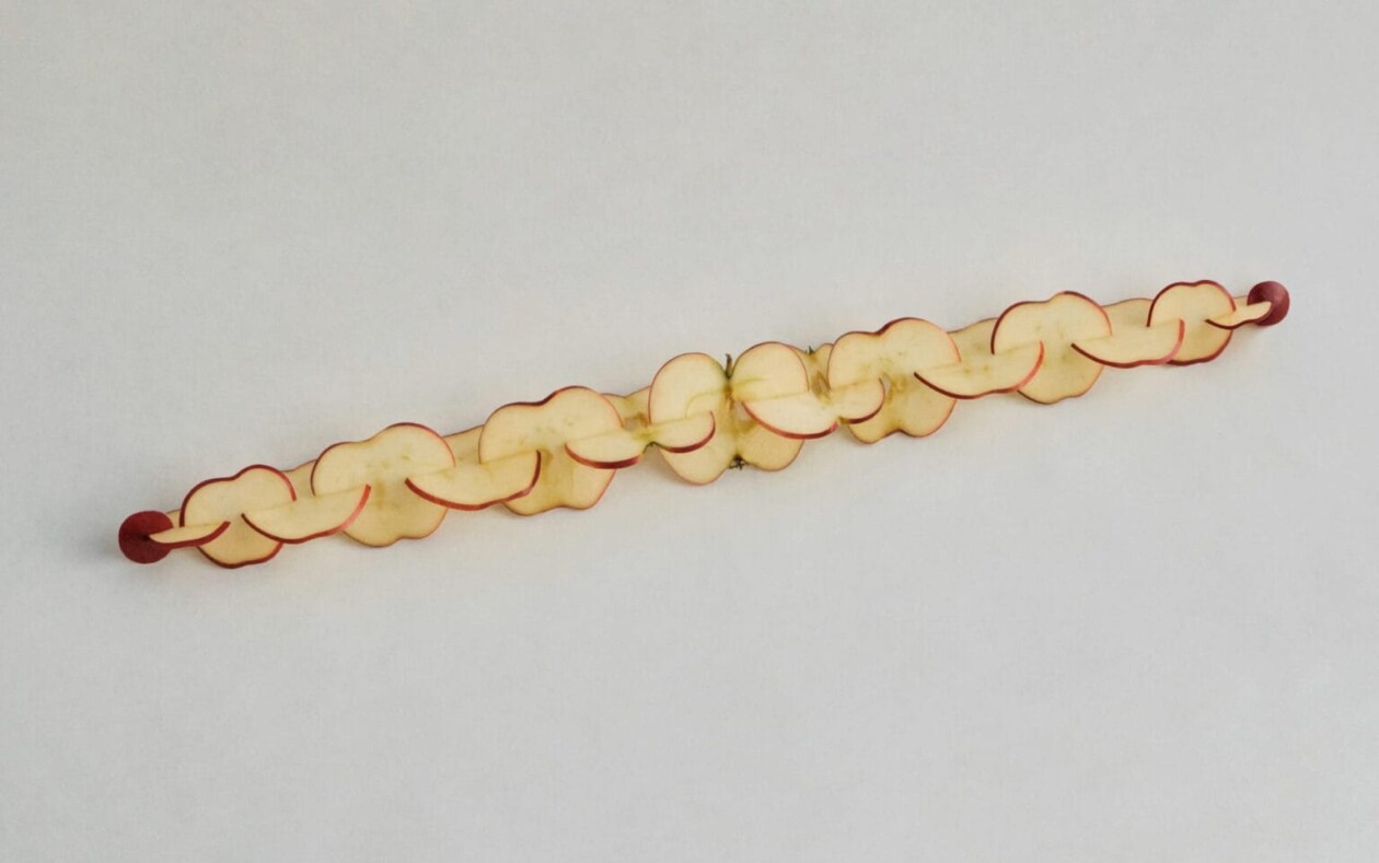 Smart And Playful Sculptures Carved Out Of Apples By Chinese Artist Can Sun (8)