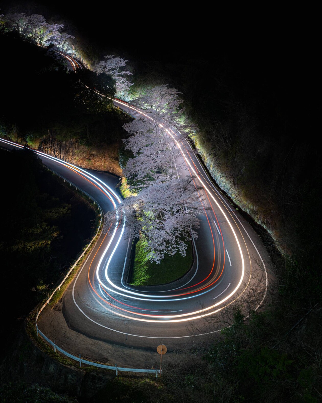 Spring In Japan, A Urban Photography Series By Hisa Matsumura (16)