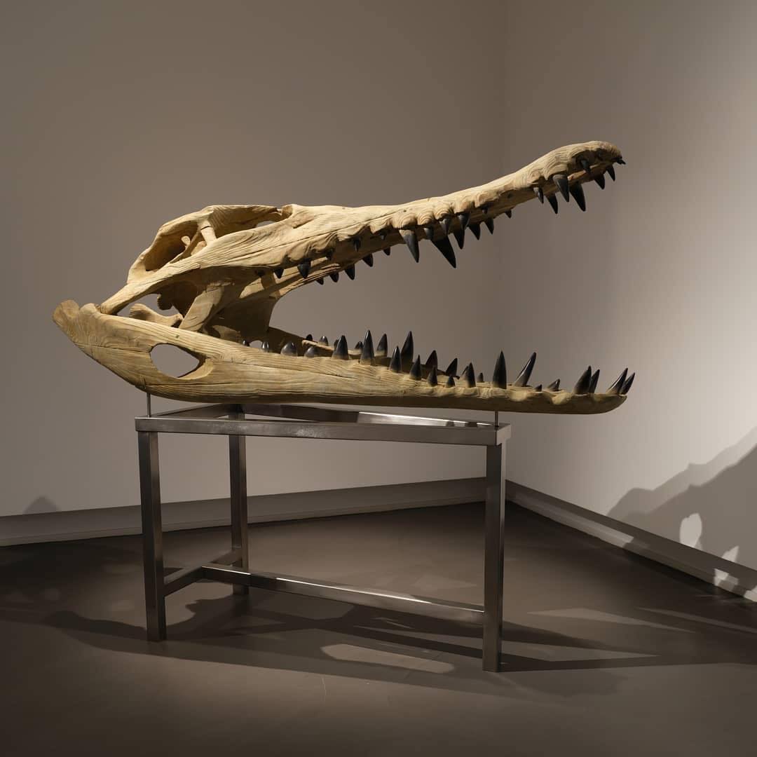 Trophy, Thought Provoking Giant Animal Sculptures By Quentin Garel (4)