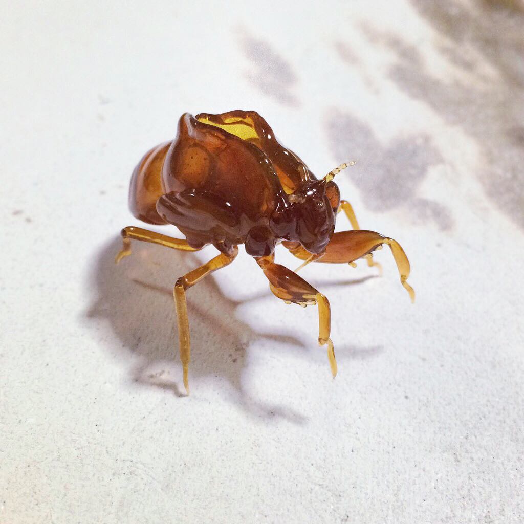 Amazingly Realistic Insect And Plant Glass Sculptures By Yuki Tsunoda (1)