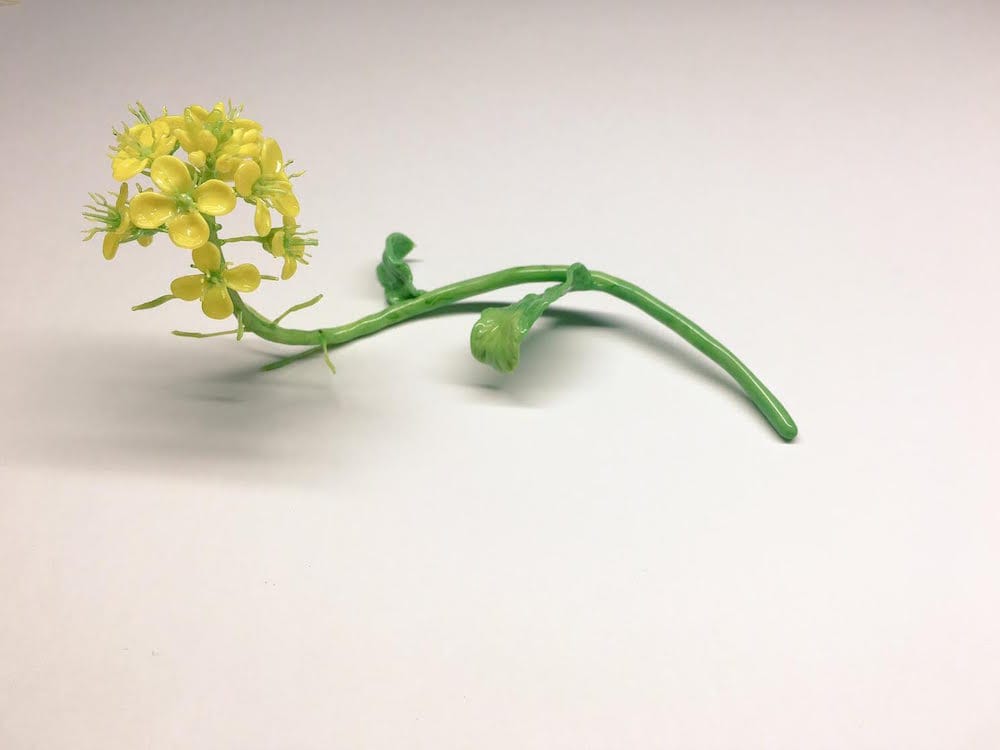 Amazingly Realistic Insect And Plant Glass Sculptures By Yuki Tsunoda (15)