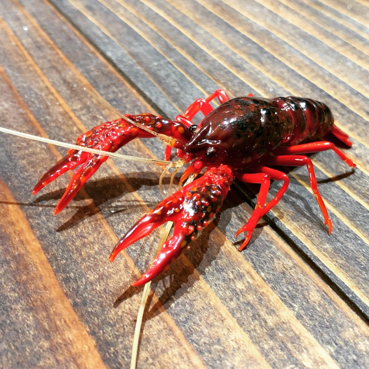 Amazingly Realistic Insect And Plant Glass Sculptures By Yuki Tsunoda (4)