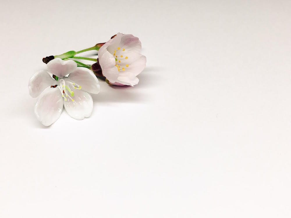 Amazingly Realistic Insect And Plant Glass Sculptures By Yuki Tsunoda (7)