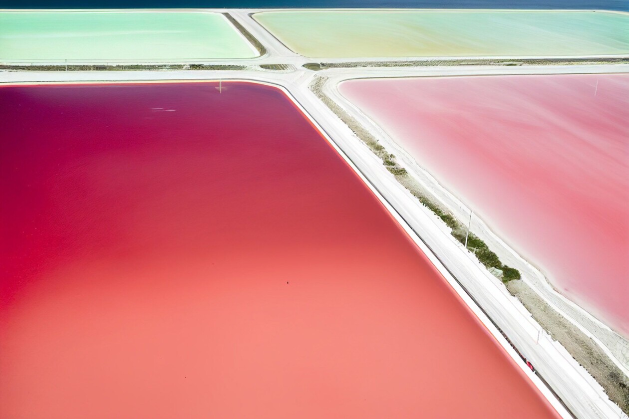 Exploring The Awe Inspiring Salted Horizons Series By Reshakh Mahmood (25)