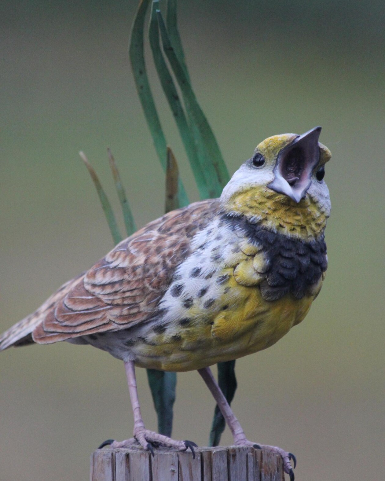 From Branch To Breathtaking, The Art Of Chris Wilson's Wildlife Sculptures (14)